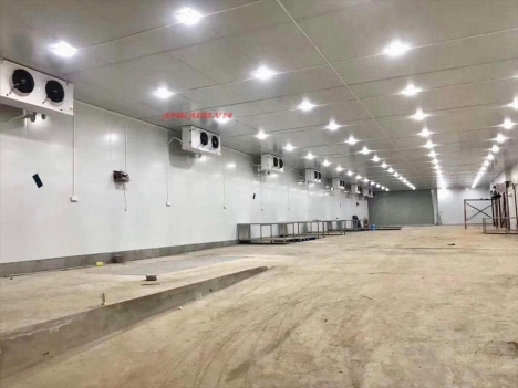 Thi công  kho lạnh bảo quản sữa tươi tại Cần Thơ