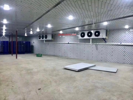 Thi công  kho lạnh bảo quản sữa tươi tại Cần Thơ