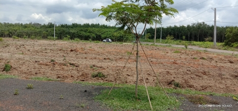 Bán gấp lô đất ngay chợ 1000m2 bán rẻ có 200tr ah