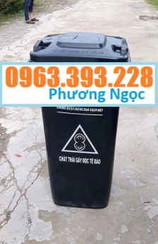 Thùng đựng rác công cộng 120L, thùng rác 2 bánh xe, thùng rác nhựa HDPE 120 Lít