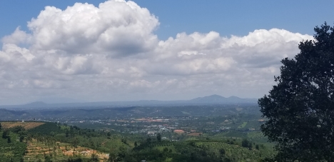 Chính chủ cần bán miếng đất vườn hơn 1,2 hec tại thôn 10b, Lộc Thành View Bao Đẹp