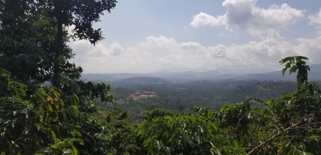 Chính chủ cần bán miếng đất vườn hơn 1,2 hec tại thôn 10b, Lộc Thành View Bao Đẹp