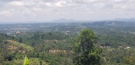 Chính chủ cần bán miếng đất vườn hơn 1,2 hec tại thôn 10b, Lộc Thành View Bao Đẹp