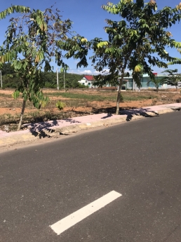 Bán nhanh bán gấp lô đất trong tuần này 300m2 giá rẻ luôn.