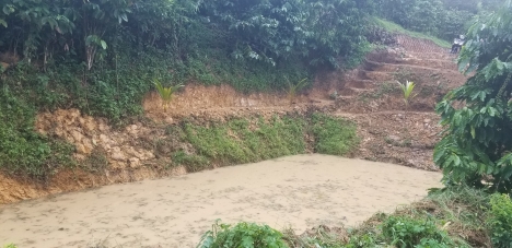 Cần bán gấp trong tuần 1 hec đất vườn sen cây ăn trái làm nghĩ dưỡng view bao đẹp.