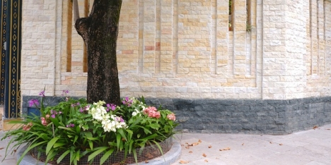 Đá trang trí, đá tự nhiên ốp tường mặt tiền