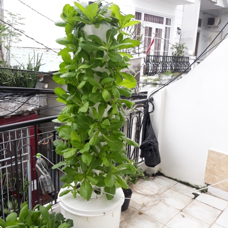 Trụ trồng rau khí canh đầy đủ phụ kiện