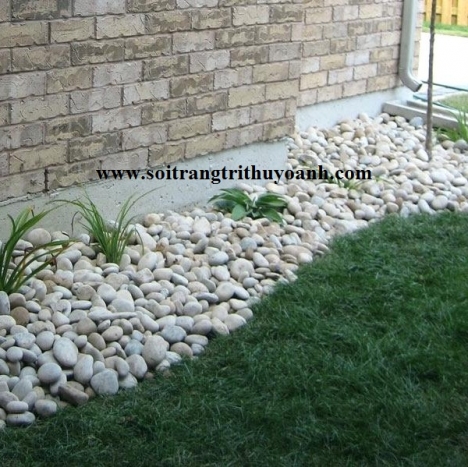 Sỏi trắng bóng trang trí tiểu cảnh sân vườn