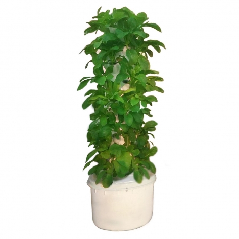 Trụ trồng rau thủy canh đầy đủ phụ kiện 28 rọ trồng