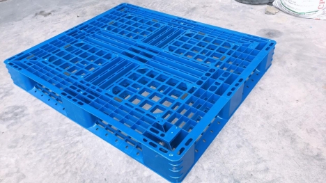 pallet nhựa mới tại Miền Tây