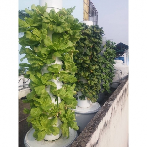 Trụ trồng rau thủy canh đầy đủ phụ kiện 28 rọ trồng