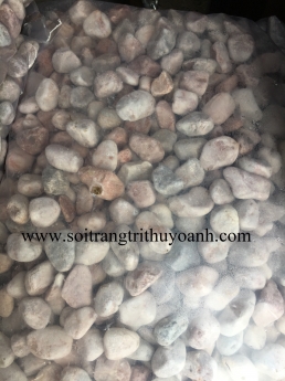 Tổng kho sỏi trang trí miền nam