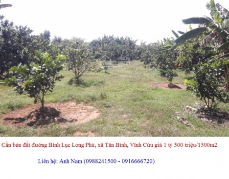 Cần bán 1500m2 đất gần đường Bình Lục Long Phú, xã Tân Bình, Vĩnh Cửu giá 1 tỷ 500 triệu
