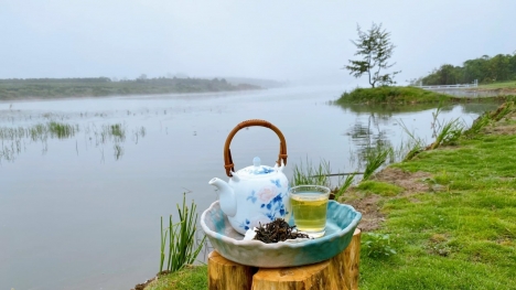 BÁN 3 LÔ DIÊN HÒA BIỆT THỰ  VIEW SÔNG TRIỆU ĐÔ CHỈ 650 TRIỆU/LÔ ĐƯỜNG 10M