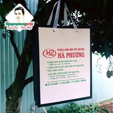 In túi giấy gia lai - Nguyễn Phong Print