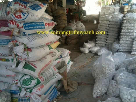 Sỏi trắng ốp lát trang trí hcm