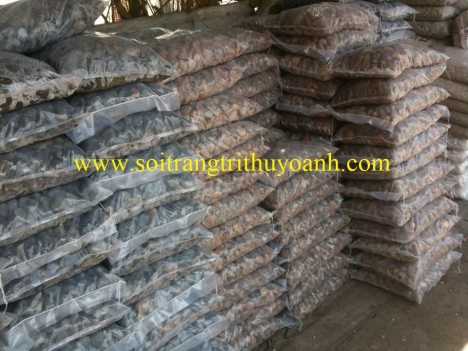 Sỏi trắng ốp lát trang trí hcm