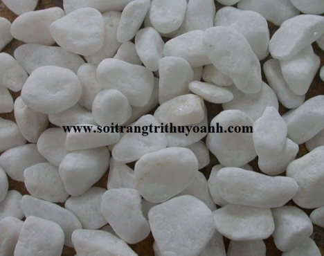 Sỏi trắng ốp lát trang trí hcm