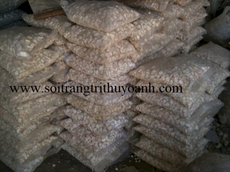 Sỏi trắng ốp lát trang trí hcm