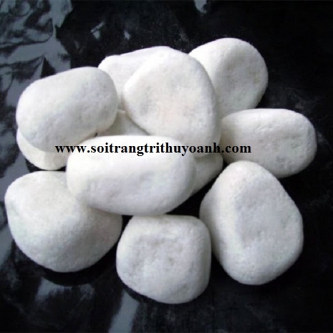 Sỏi trắng ốp lát trang trí hcm