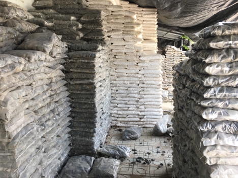 Sỏi trắng ốp lát trang trí hcm