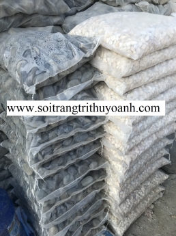 Sỏi trắng ốp lát trang trí hcm
