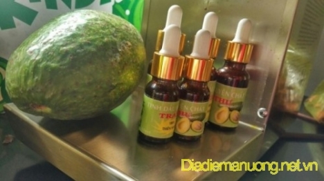 Cung Cấp Tinh Dầu Bơ, Bột Bơ, Bột Chuối Xanh, Trà Sả Lá Dứa