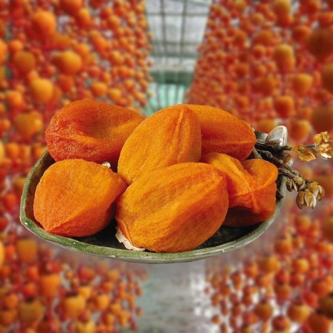 HỒNG TREO GIÓ ĐÀ LẠT - CẦU ĐẤT