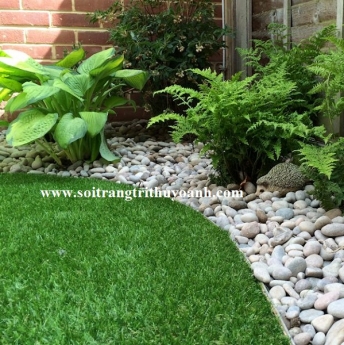 Sỏi trắng bóng ốp lát trang trí lối đi sân vườn