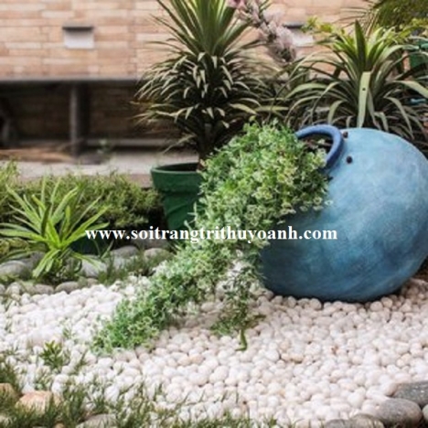 Sỏi trắng bóng ốp lát trang trí lối đi sân vườn