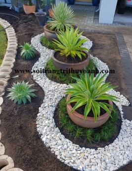 Sỏi trắng bóng ốp lát trang trí lối đi sân vườn