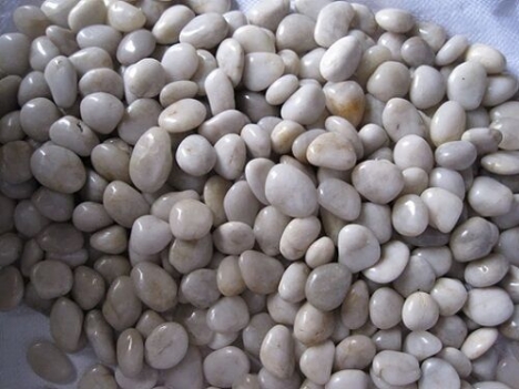 Sỏi trắng bóng, sỏi đỏ bóng, sỏi đen bóng, sỏi vàng bóng