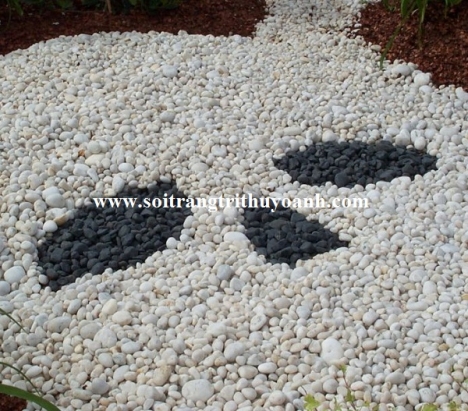 Sỏi trắng bóng ốp lát trang trí lối đi sân vườn