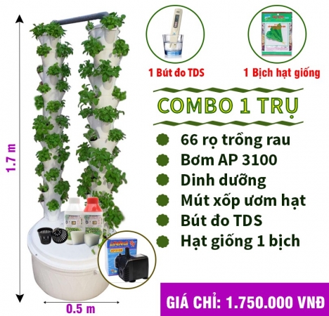 HƯỚNG DẪN CÁCH TRỒNG RAU SẠCH BẰNG TRỤ KHÍ CANH.
