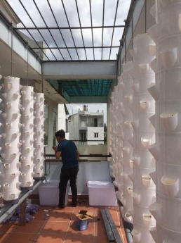 chuyên thiết kế, thi công và chăm sóc vườn rau thuỷ canh tại nhà