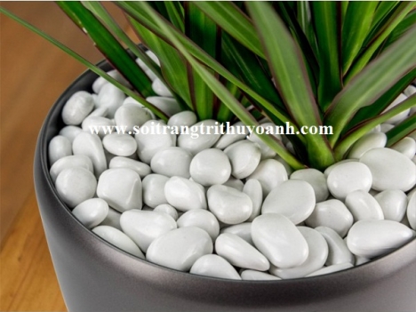 Sỏi trang trí tiểu cảnh sân vườn đẹp