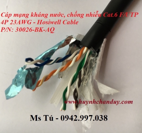 Cáp mạng Hosiwell Cat.6 F/UTP kháng nước, chống nhiễu - P/N: 30026-BK-AQ