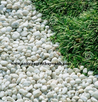 Sỏi trang trí tiểu cảnh sân vườn đẹp