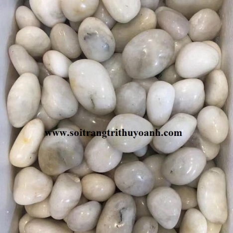 Sỏi trang trí tiểu cảnh sân vườn đẹp