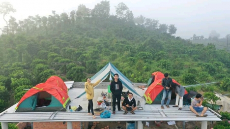 Cần bán gấp  1 hec đất vườn sen cây ăn trái làm nghĩ dưỡng view bao đẹp.