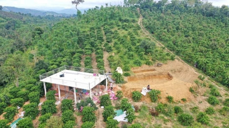 Cần bán gấp  1 hec đất vườn sen cây ăn trái làm nghĩ dưỡng view bao đẹp.