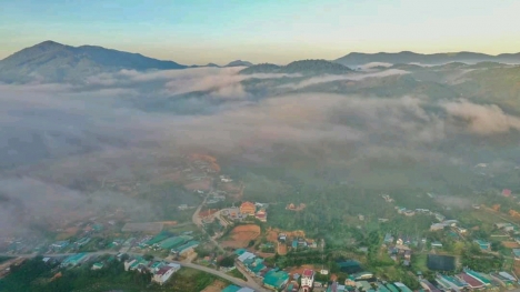 Cần bán gấp  1 hec đất vườn sen cây ăn trái làm nghĩ dưỡng view bao đẹp.