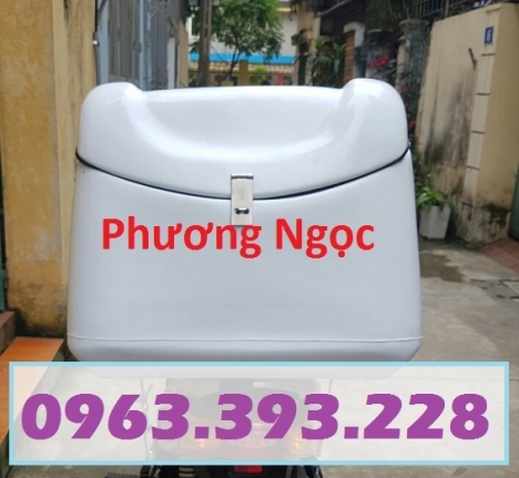 Thùng chở hàng nhựa composite, thùng giao đồ ăn, thùng giao hàng sau xe máy
