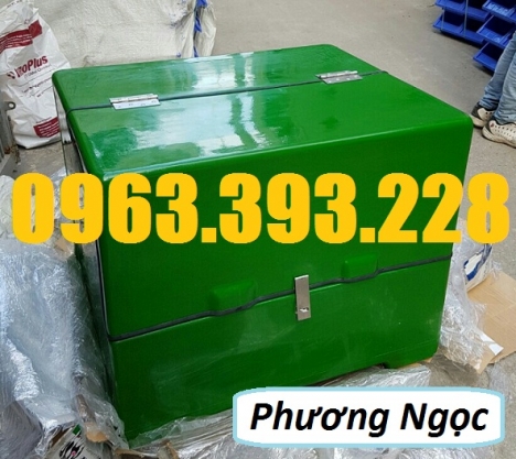Thùng chở hàng nhựa composite, thùng giao đồ ăn, thùng giao hàng sau xe máy