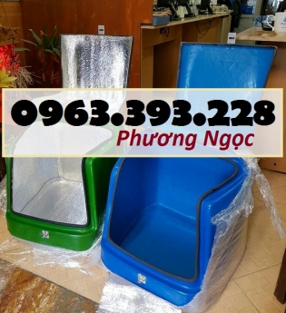 Thùng chở hàng nhựa composite, thùng giao đồ ăn, thùng giao hàng sau xe máy