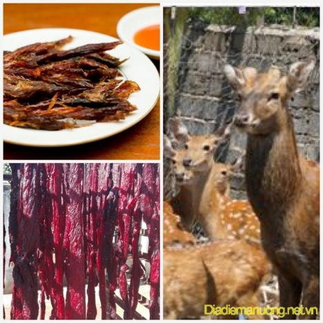 Cung Cấp Khô Nai, Bò Mỹ, Hạt Điều, Long Nhãn