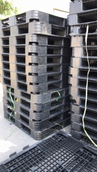 Cung cấp pallet nhựa cũ số lượng lớn tại Long Biên Hà Nội
