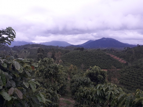 Bán nhanh đất vườn sinh thái, khu homestay Lenkar's