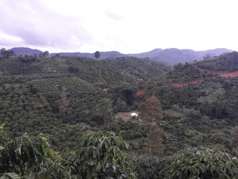 Bán nhanh đất vườn sinh thái, khu homestay Lenkar's