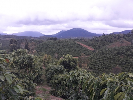 Bán nhanh đất vườn sinh thái, khu homestay Lenkar's